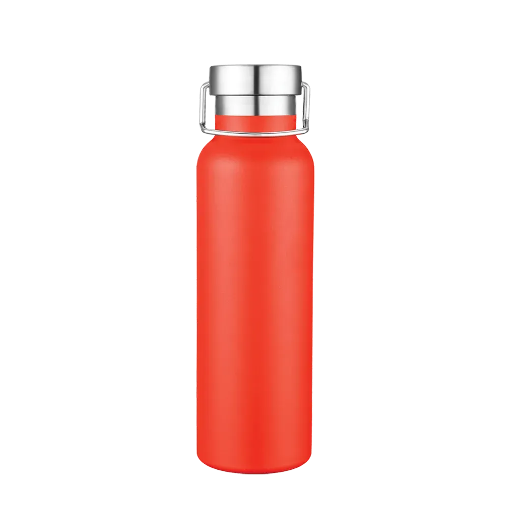 Slate 20oz Vacuum Bottle